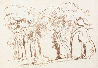 Undersøgelse af træer af David Cox