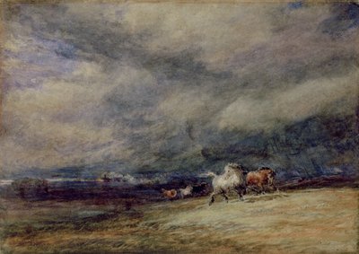 Nattetoget af David Cox