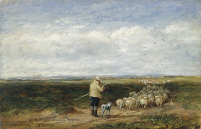Hyrden, flokkens tilbagevenden af David Cox