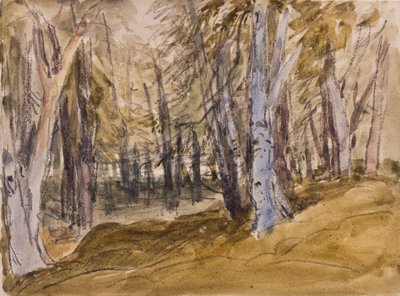 Træer på Box Hill (kul og wc på papir) af David Cox