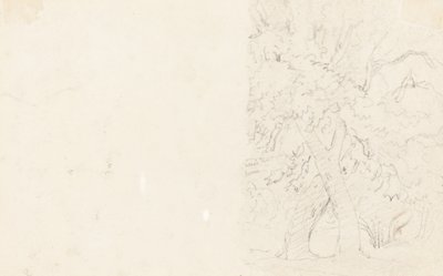 Træer [verso] af David Cox