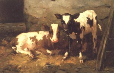 Kalve i en lade af David Gauld