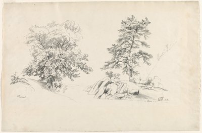 Kastanje og fyrretræ, 1869. af David Johnson