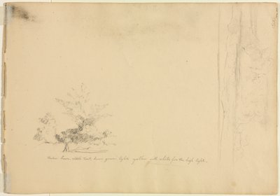 Landskabs- og træstudier verso, ca. 1851. af David Johnson