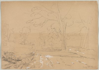 Landskab med mandfiskeri, Conway, New Hampshire, 1851. af David Johnson