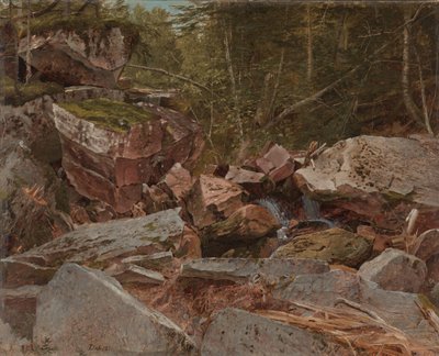 Studie, North Conway, New Hampshire, 1851 af David Johnson