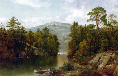 The Lake George, 1876 af David Johnson