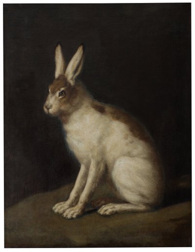 Hare af David Klöcker Ehrenstrahl