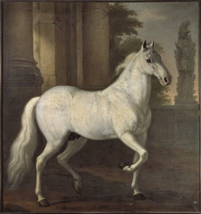 Karl XI’s yndlingshest Brilliant af David Klöcker Ehrenstrahl