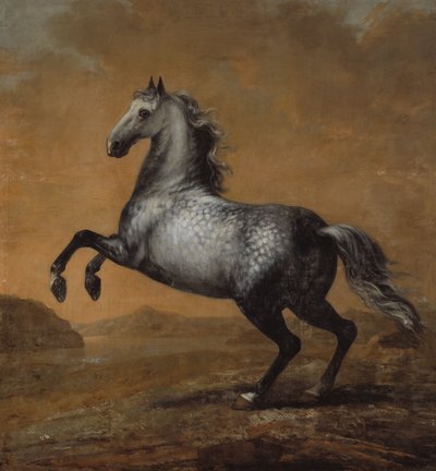 Den lille englænder, kong Karl XI (1655-97)s hest af David Klöcker Ehrenstrahl