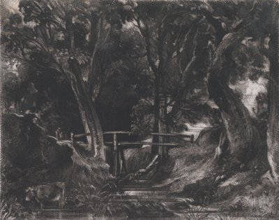 A Dell, Helmingham Park, Suffolk, 1830. af David Lucas