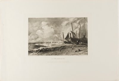 En søbi af David Lucas