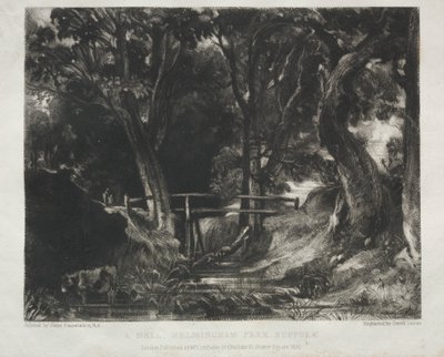 Forskellige emner af landskab, karakteristisk for engelsk landskab fra billeder malet af John Constable, R.A.: Dell in the Woods of Helmingham Park, Suffolk af David Lucas