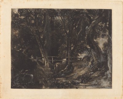 En Dell i Helmingham Park, Suffolk af David Lucas after John Constable