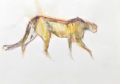Cheetah, 2020 (farveblyant og akvarel på papir) af David Mayer