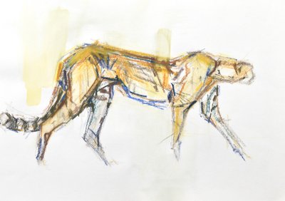 Cheetah, 2020 (farveblyant og akvarel på papir) af David Mayer