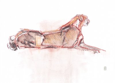 Cheetah alarm, 2019 (farveblyant/akvarel på papir) af David Mayer
