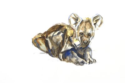 Hyænehvalp, 2020 (akvarel, farveblyant og gouache på papir) af David Mayer