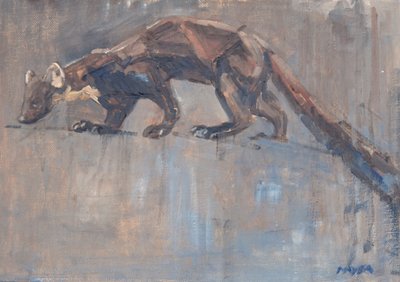 Pine Marten, 2023 (olie på lærred) af David Mayer