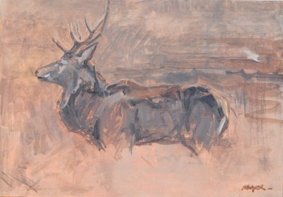 Red Deer Stag, 2023 (olie på lærred) af David Mayer