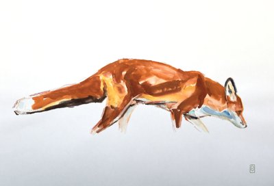 Red Fox, 2020 (akvarel og farveblyant) af David Mayer