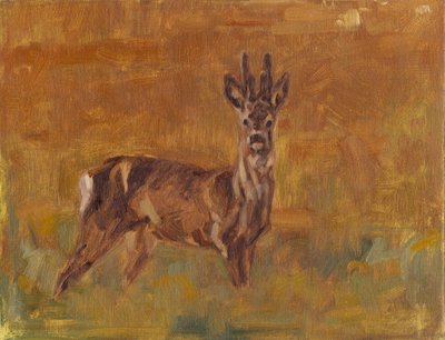 Roe Buck, 2021 af David Mayer