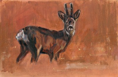 Roe Buck, 2021 af David Mayer