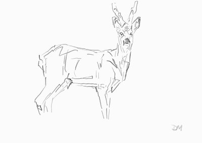 Roe Buck, 2024 (blæk med bambusrørpen på papir) af David Mayer