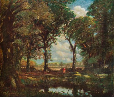 A Woodland Pool, c1905 af David Muirhead
