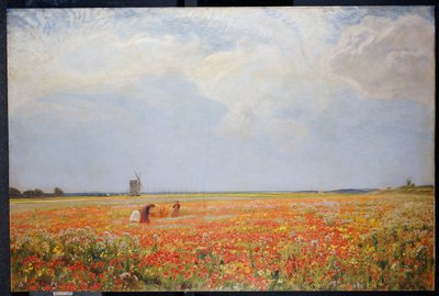 Blomsterplukkerne af David Murray