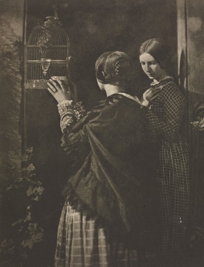 Kameraarbejde: Fugleburet, 1909. af David Octavius Hill