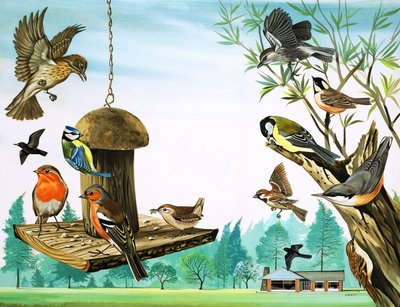 Alle slags fugle omkring havebordet, illustration fra 