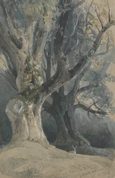 Træer i Northwick Park af David Roberts