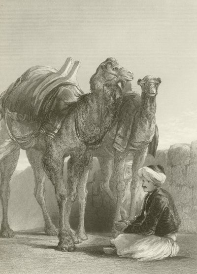 En gruppe kameler ved Smyrna af David Wilkie