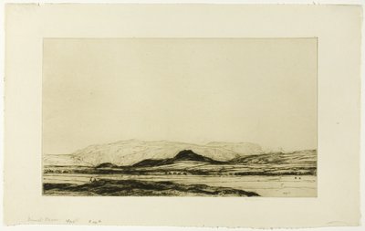 Dinnet Moor af David Young Cameron