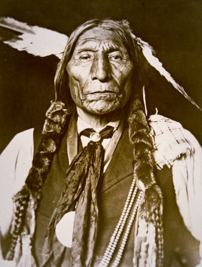 Wolf Robe (f. 1841) 1909 (s/h foto) af DeLancey W. Gill