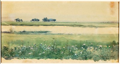 (Landskab med sumpområder) af De Lancey Gill