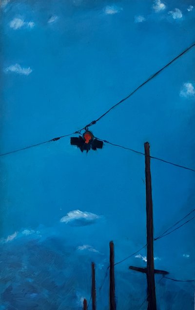 Stoplys af Deborah Stevenson