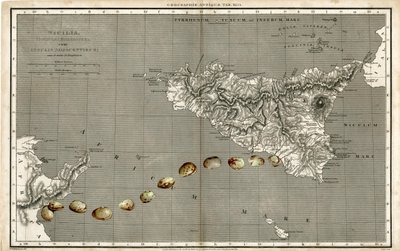 Wonder Atlas - Sicilien af Deirdre Kelly