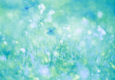 Aqua Butterfly Dream af Delphine Devos