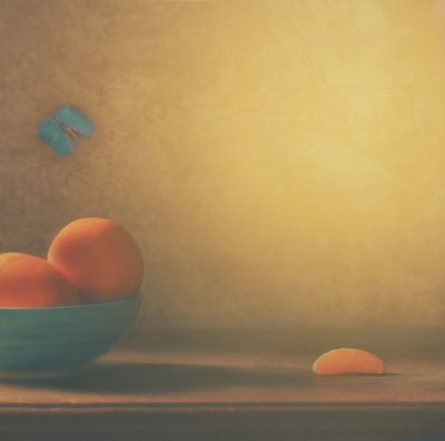 Citrusskål og sommerfugl af Delphine Devos