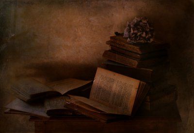 Bøger i »Dark Academia«-genren af Delphine Devos