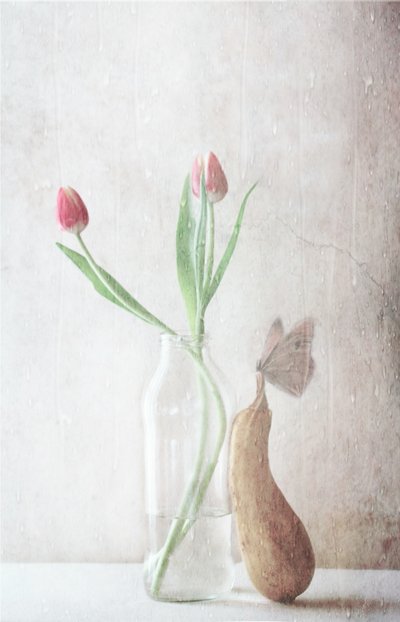 af Delphine Devos