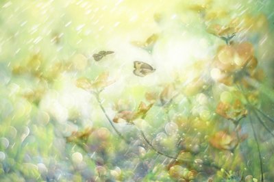 Drømmende sommerfugleblomster af Delphine Devos