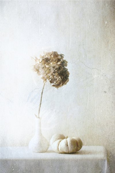  af Delphine Devos