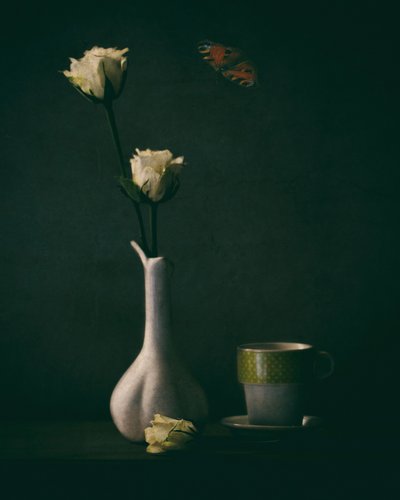 Elegante roser og sommerfugl af Delphine Devos