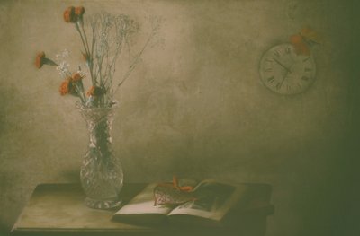 Visne blomster og tiden af Delphine Devos