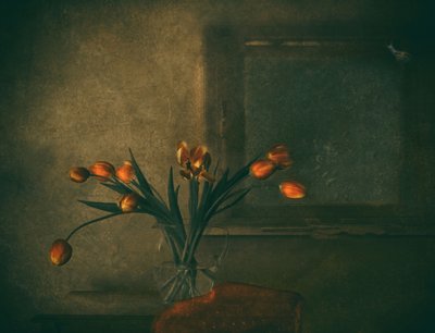 Stemningsfulde orange tulipaner af Delphine Devos