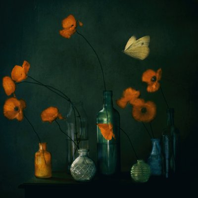 Moody Poppies-sommerfugl af Delphine Devos
