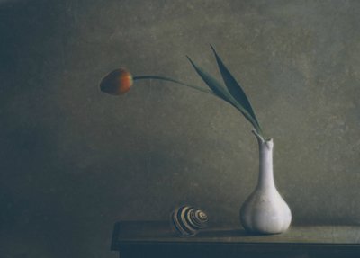 Stilleben med en stemningsfuld tulipan af Delphine Devos